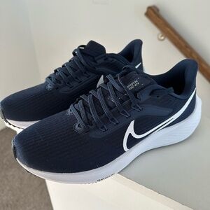 Nike Pegasus 39